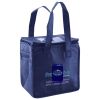 Lunch Tote  Insulated Thumbnail