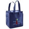 Lunch Tote  Insulated Thumbnail
