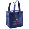 Lunch Tote  Insulated Thumbnail
