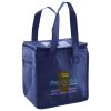 Lunch Tote  Insulated Thumbnail