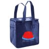 Lunch Tote  Insulated Thumbnail