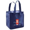 Lunch Tote  Insulated Thumbnail