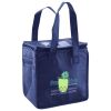Lunch Tote  Insulated Thumbnail