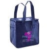 Lunch Tote  Insulated Thumbnail