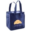Lunch Tote  Insulated Thumbnail