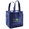 Lunch Tote  Insulated Thumbnail