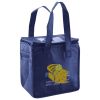 Lunch Tote  Insulated Thumbnail