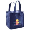 Lunch Tote  Insulated Thumbnail