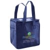 Lunch Tote  Insulated Thumbnail