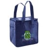 Lunch Tote  Insulated Thumbnail