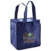 Lunch Tote  Insulated Thumbnail