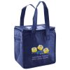 Lunch Tote  Insulated Thumbnail