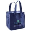 Lunch Tote  Insulated Thumbnail