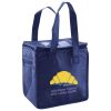 Lunch Tote  Insulated Thumbnail