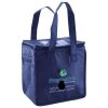 Lunch Tote  Insulated Thumbnail