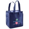 Lunch Tote  Insulated Thumbnail