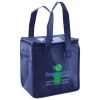 Lunch Tote  Insulated Thumbnail