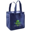 Lunch Tote  Insulated Thumbnail