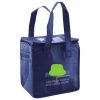 Lunch Tote  Insulated Thumbnail