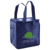 Lunch Tote  Insulated Thumbnail
