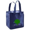 Lunch Tote  Insulated Thumbnail