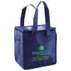 Lunch Tote  Insulated Thumbnail