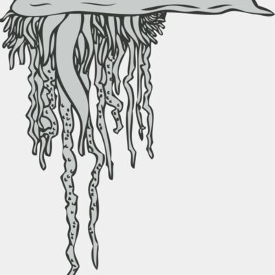 Engraving Style Thumbnail