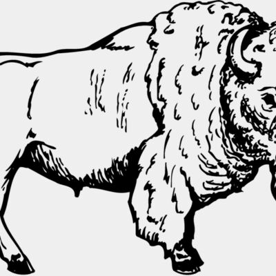 Buffalo Thumbnail