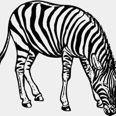 Zebra Thumbnail